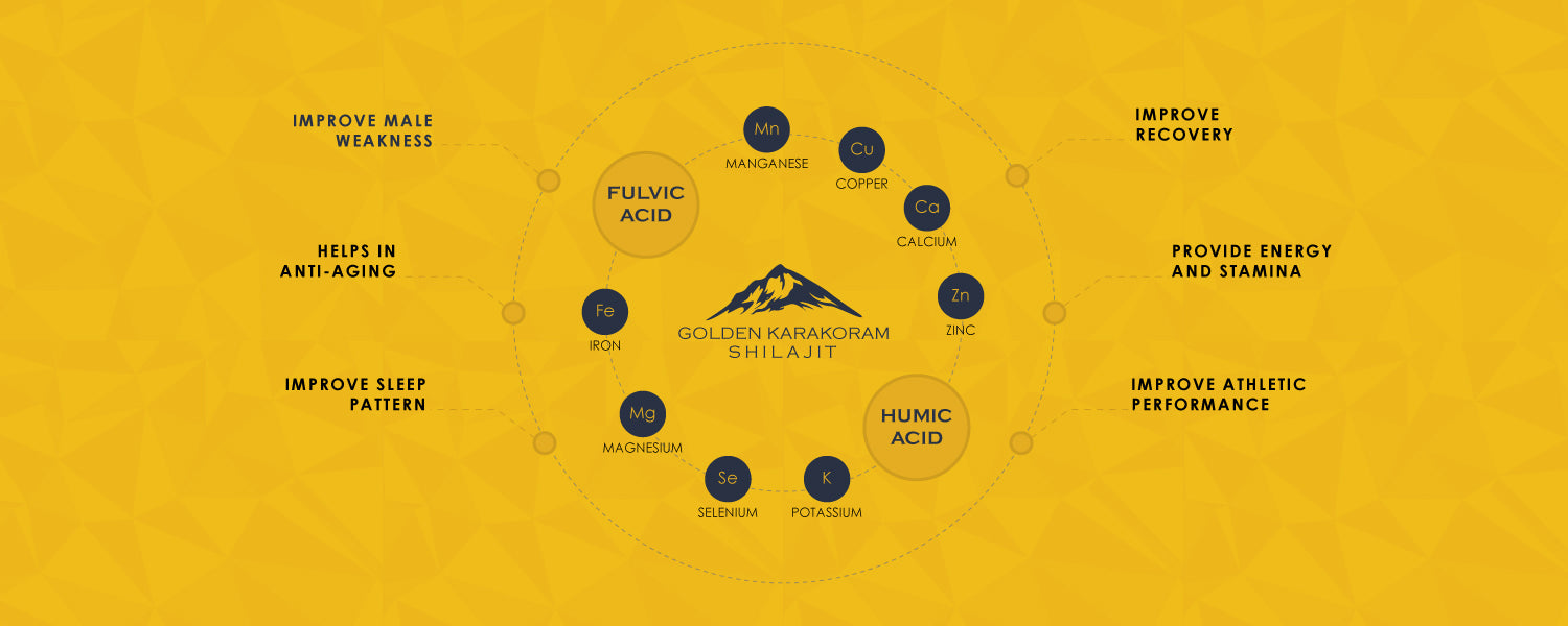 Graphics illustrating the presence of Fulvic and Humic acid in Golden Karakoram Shilajit, and shows some of the benefits of consuming GKS