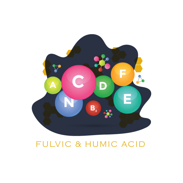 Graphic Illustrating different Natural Minerals and Vitamins